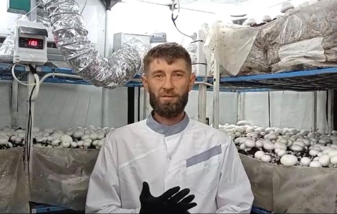 Житель Предгорного округа открыл семейную грибную ферму по соцконтракту