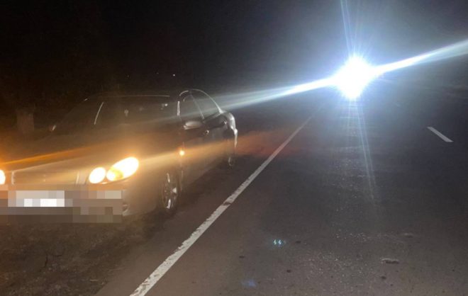 Пешехода насмерть сбил автомобиль на трассе в Александровском округе