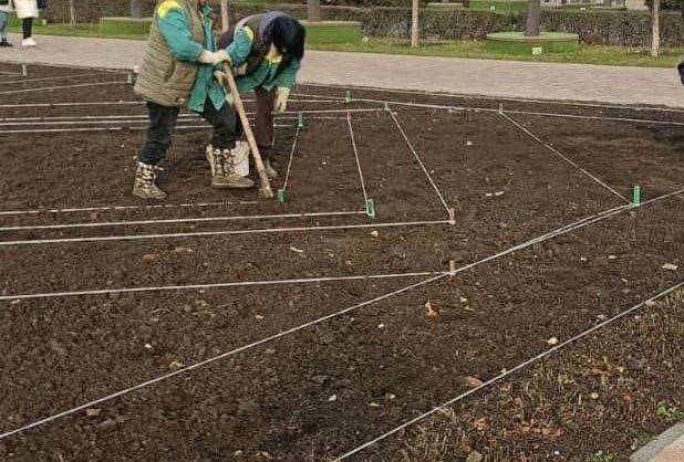 Более 200 тысяч саженцев цветов высаживают в Ставрополе
