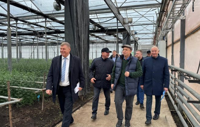 В Кочубеевском округе создали 11 инвестплощадок площадью 300 га