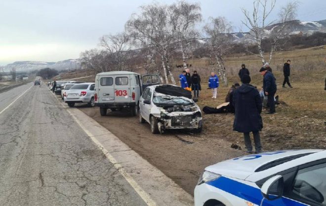 В результате наезда на лошадь в Предгорном округе погиб водитель легковушки