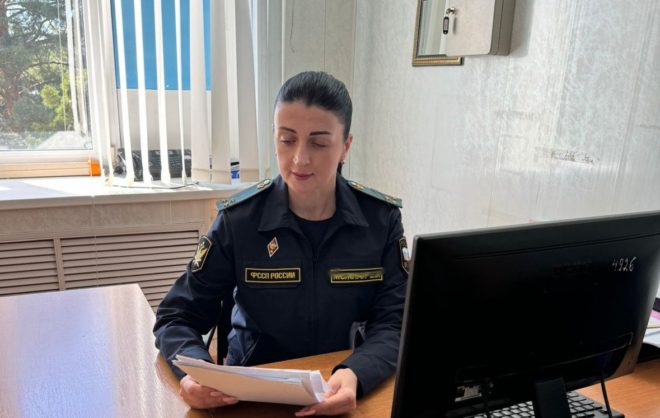 Жительницу Изобильнеского округа на 7 месяцев лишили свободы из-за долга