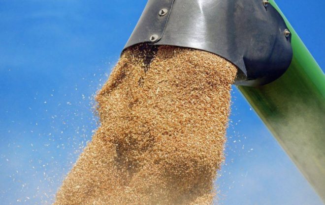 Более 1,4 млн тонн сельхозпродукции Ставрополья отправили на экспорт в 2024 году