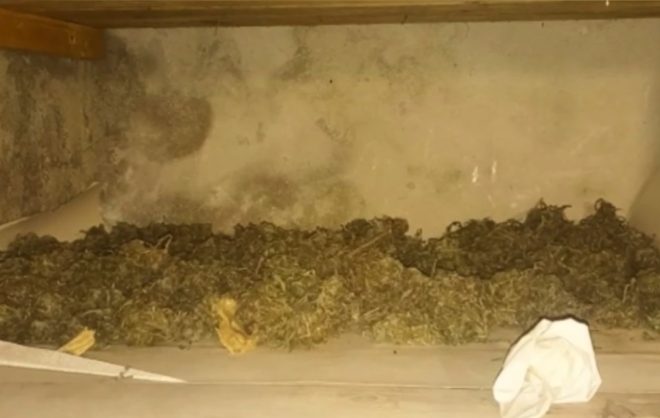 Житель Шпаковского округа хранил дома свыше 1 кг наркотиков