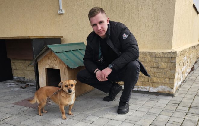 Бродячим собакам в Предгорном округе волонтёры помогают найти хозяина