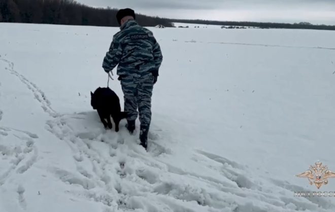 Житель Ставрополья потерялся в лесу в Липецкой области