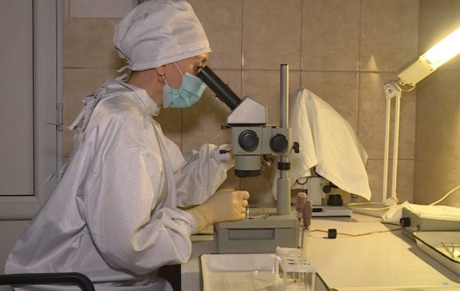 Число случаев КГЛ уменьшилось на Ставрополье