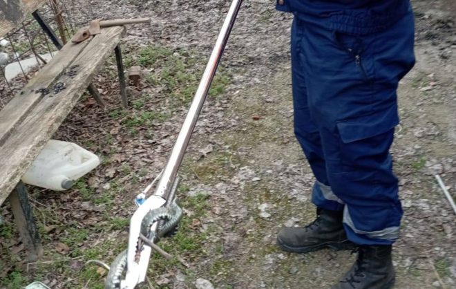 В Красногвардейском округе спасатели отловили забравшуюся во двор дома змею