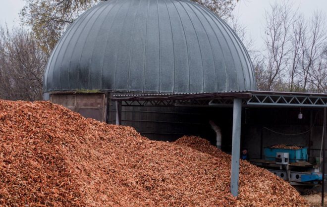 На Ставрополье изготавливают пеллеты из кукурузной кочерыжки