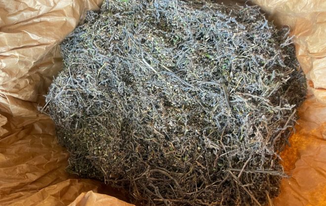 Житель Кировского округа хранил дома 800 гр наркотиков