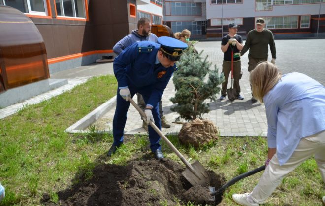 Сакуру и платаны высадили «Саду памяти» школы Ессентуков