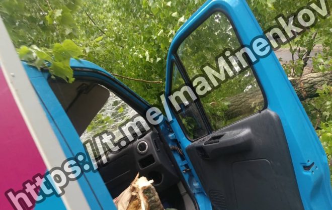 Дерево упало на грузовик в Невинномысске