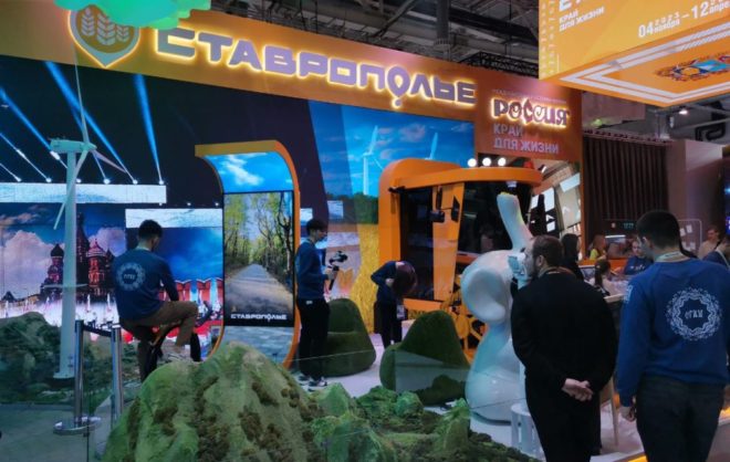 Панно из природных материалов представят на стенде Ставрополья на КИФ-2025