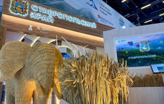 Губернатор Ставрополья: КИФ-2025 позволит краю привлечь новых инвесторов
