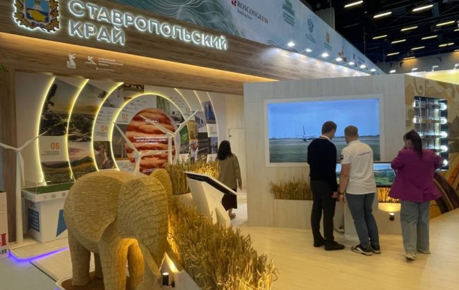 Стенд Ставрополья в молодёжный день на КИФ-2025 посетили около 1000 человек