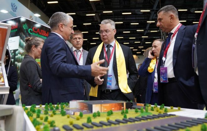 Губернатор Ставрополья: Крупный завод по переработке баранины построят в крае