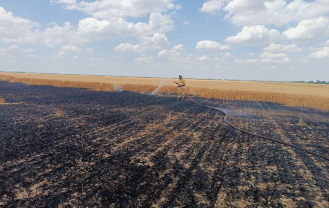 Пассовцы в Курском округе потушили гектар горящей пшеницы