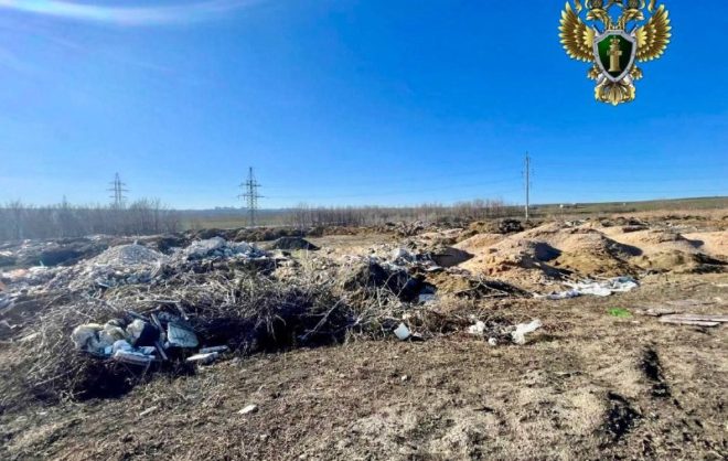 На земельном участке в Ставрополе нашли свалку площадью более 1,5 га
