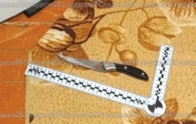 Ударившая ножом сожителя свекрови ставропольчанка отправится в колонию на 6 лет
