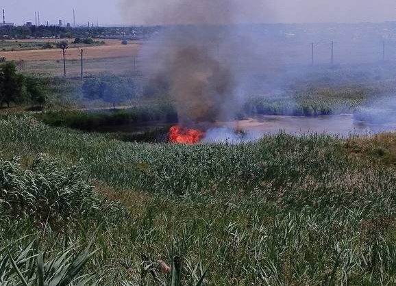 Огонь захватил сухостой в Кочубеевском округе