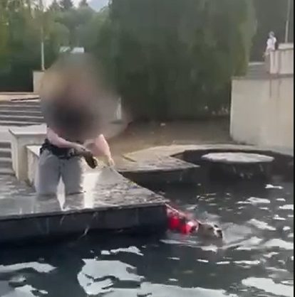 Жительница Железноводска решила искупать свою собаку в городском фонтане
