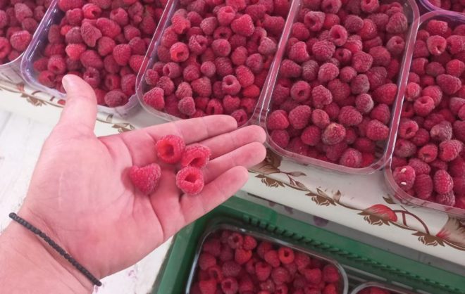 Рекордный урожай малины собрало фермерское хозяйство Предгорного округа