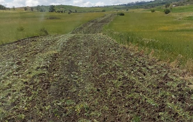 Площадь противопожарной опашки увеличили в Ставрополе