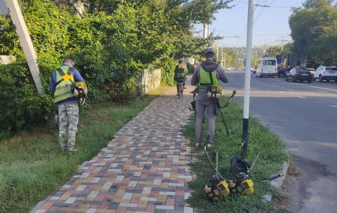 На борьбу с амброзией в Ставрополе в 2025 году выделили около 5 млн рублей