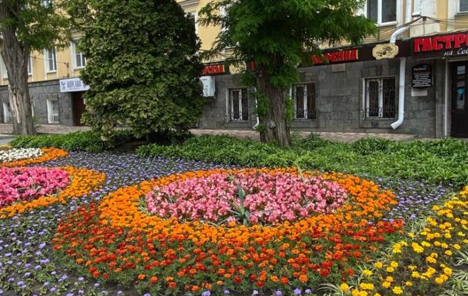 Ставрополь ко Дню города украсили более 10 тысяч цветов