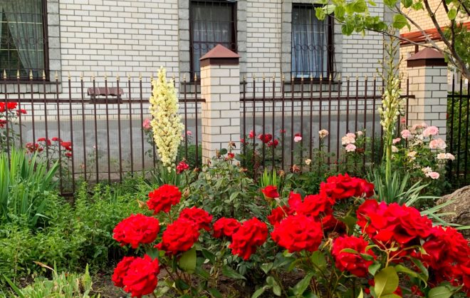 Ежегодный городской фестиваль цветников прошёл в Ставрополе