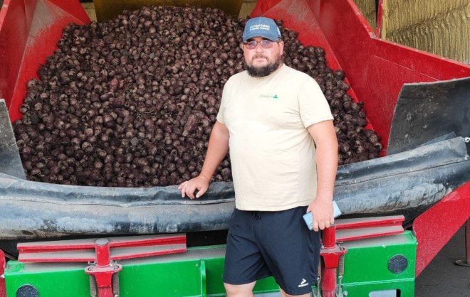 Урожай моркови и свёклы в Предгорном округе за год вырос на 10%