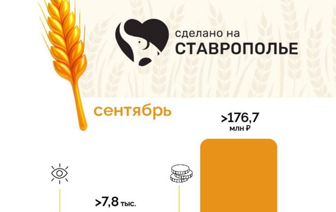 Ставрополье вошло в топ-5 регионов по продажам на маркетплейсах