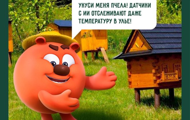 На Ставрополье педагогам агроклассов будут помогать Смешарики
