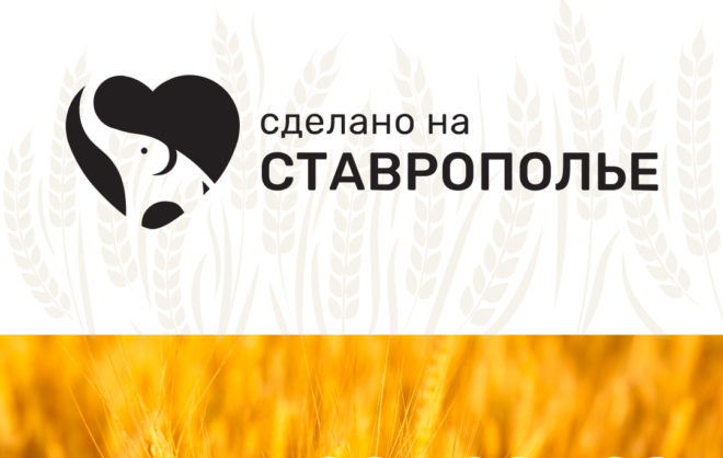 Более 200 брендов зарегистрировали на маркетплейсе «Сделано на Ставрополье»