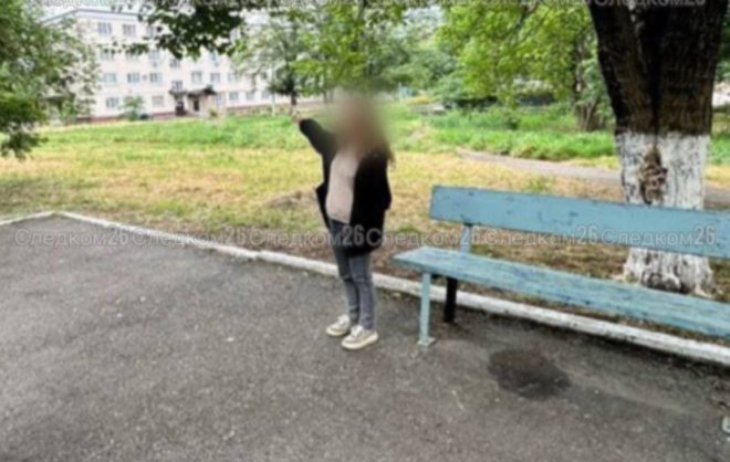 За нападение на подростка с ножом женщине в Георгиевске назначили 1 год колонии
