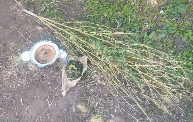 Ставрополец предстанет перед судом за хранение наркотиков