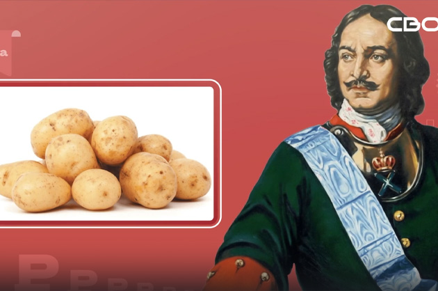 Сценарий цен. Картофель