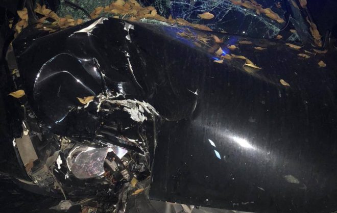 Водитель Lada врезался в дерево в Будённовском округе