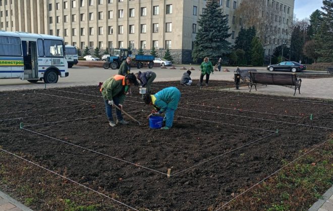 Более 200 тысяч цветов перезимуют в клумбах Ставрополя