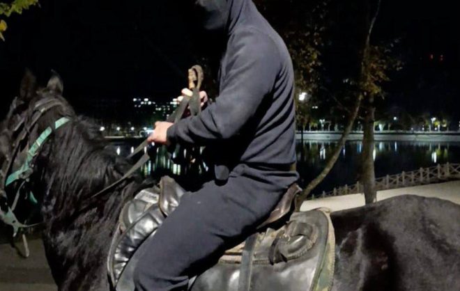 Напавшие с плёткой на пенсионеров в Кисловодске наездники пойдут под суд