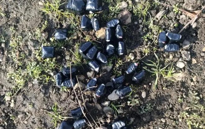 В Пятигорске задержали иностранца за попытку сбыть партию наркотиков