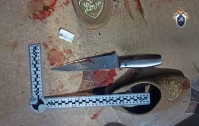 В Георгиевске женщина получила срок за удар ножом знакомого