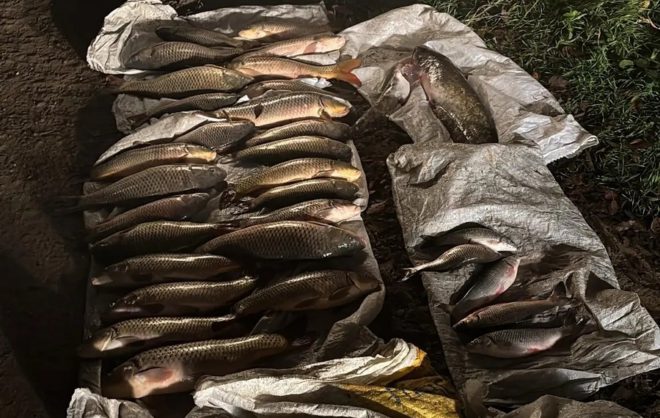 В Левокумском округе полицейские поймали браконьеров