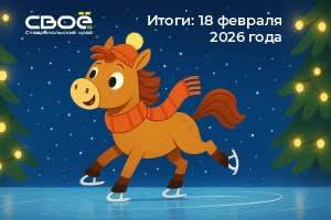 Хочу на каток