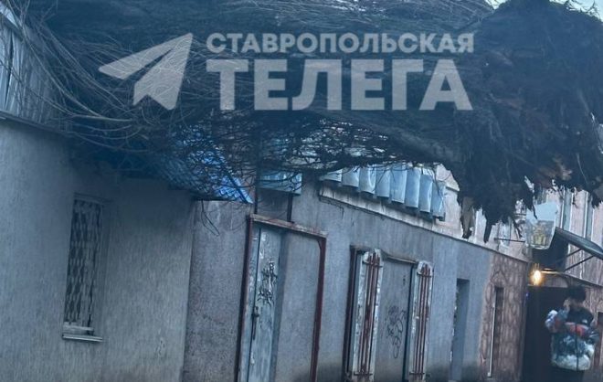Дерево упало на жилой дом в Ставрополе