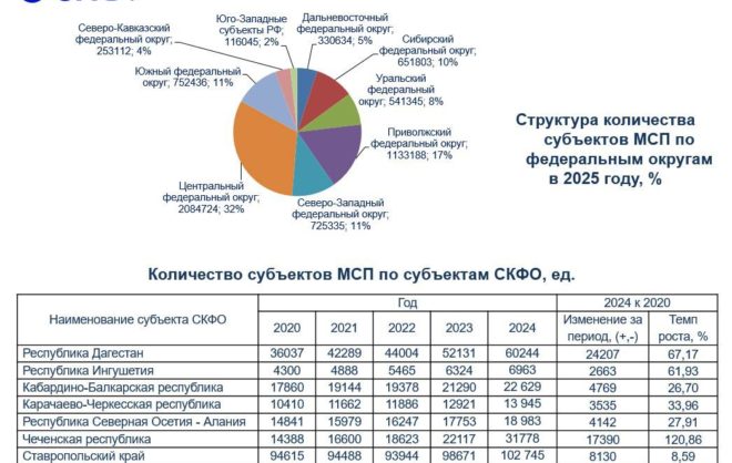 Эксперты СКФУ оценили развитие малого и среднего бизнеса на Северном Кавказе