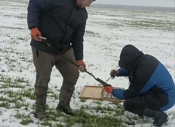 На Ставрополье специалисты мониторят запасы влаги в почве