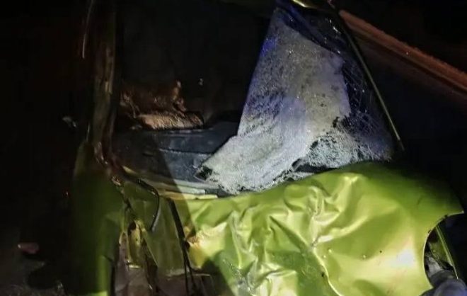 Стадо лошадей попало в ДТП на Ставрополье
