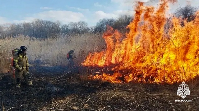 Губернатор Ставрополья поручил проверить состояние опашек вокруг лесов