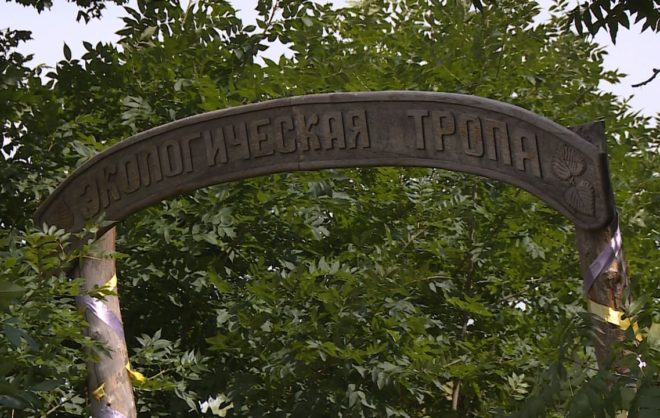 Браконьеров ловят на горе Стрижамент в Ставропольском крае